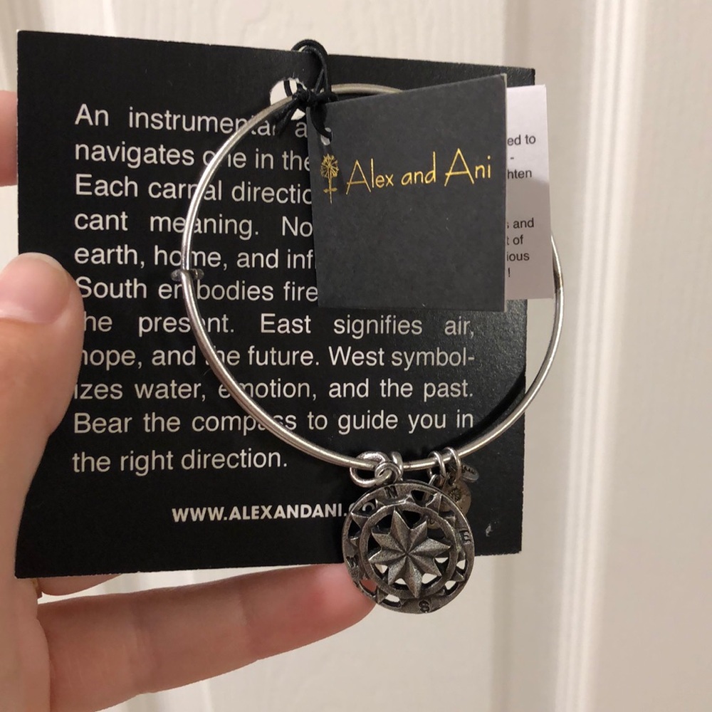 Alex and ani compass bracelet